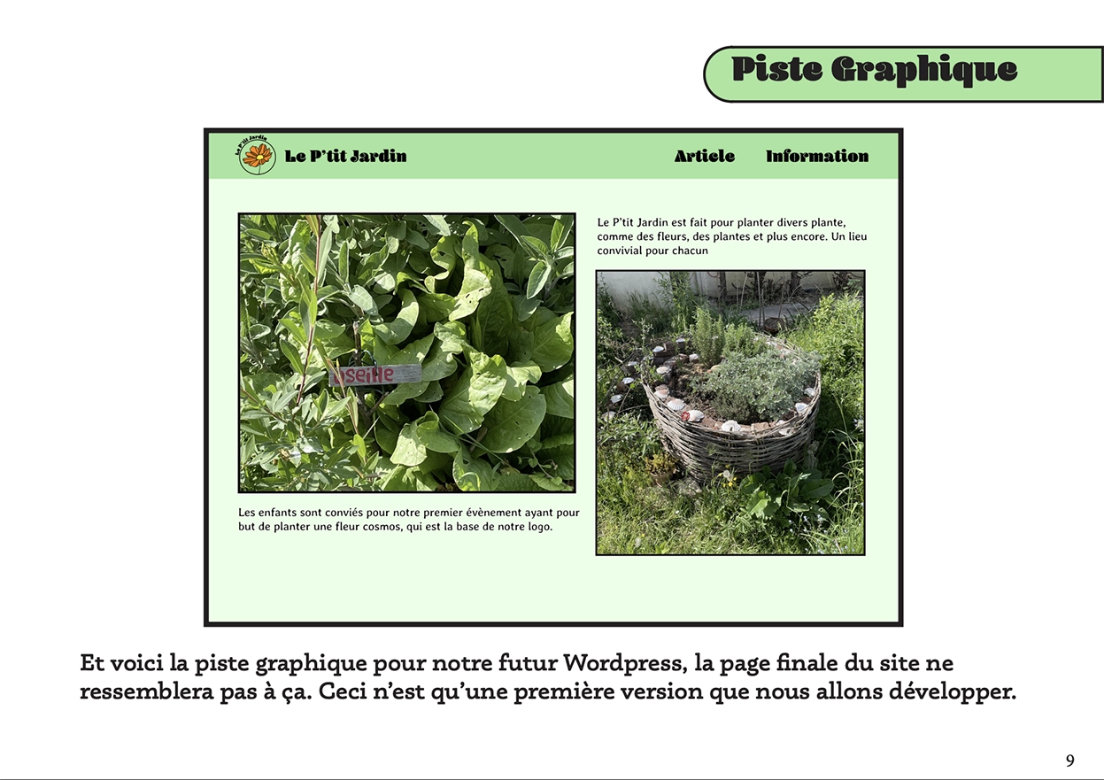 Piste graphique, futur site web